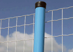 ·o(h)W(wng)İl(f)չ΄cڅݽB